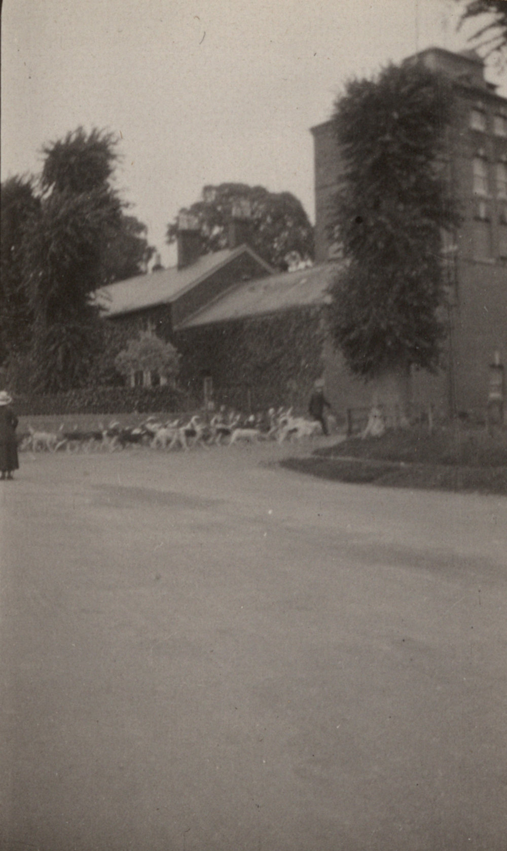 Photo from page 13 of album WWI Photograph Album of Alfred Peter Jensen