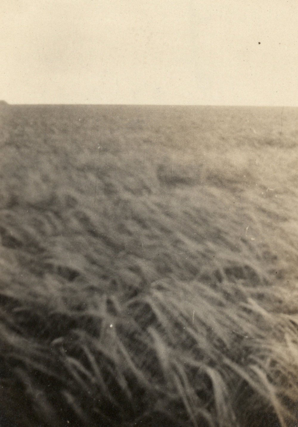 Photo from page 13 of album WWI Photograph Album of Alfred Peter Jensen