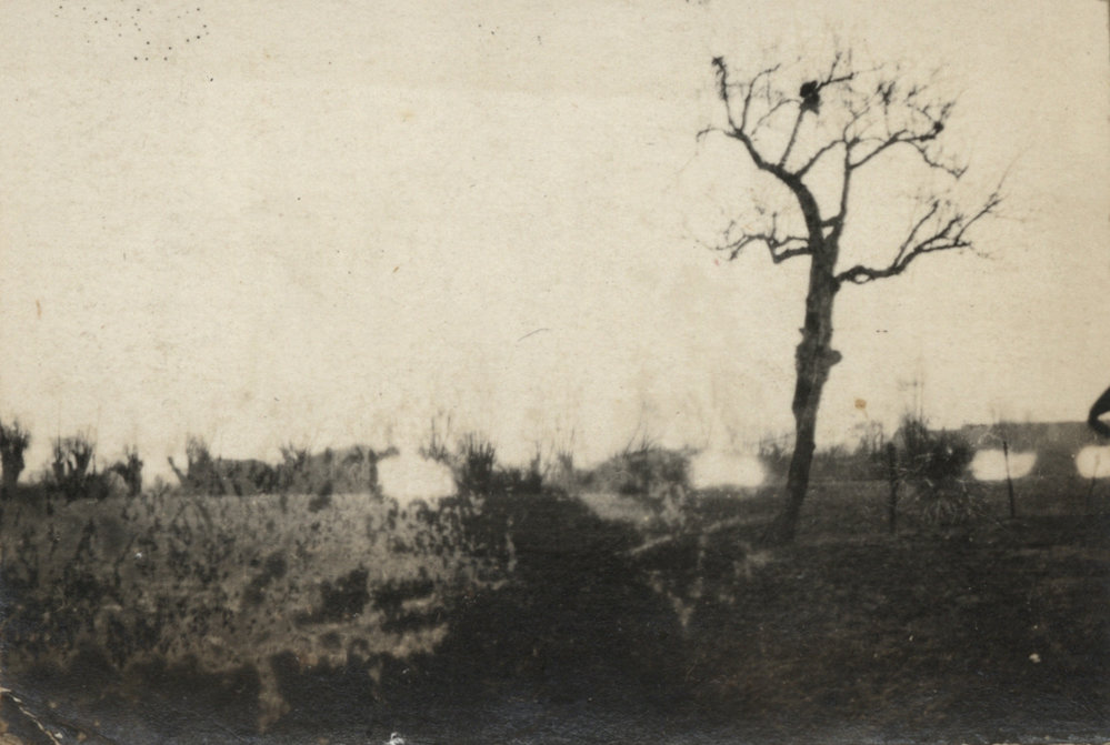 Photo from page 06 of album WW1 Photograph album of Charles Louis Armitage