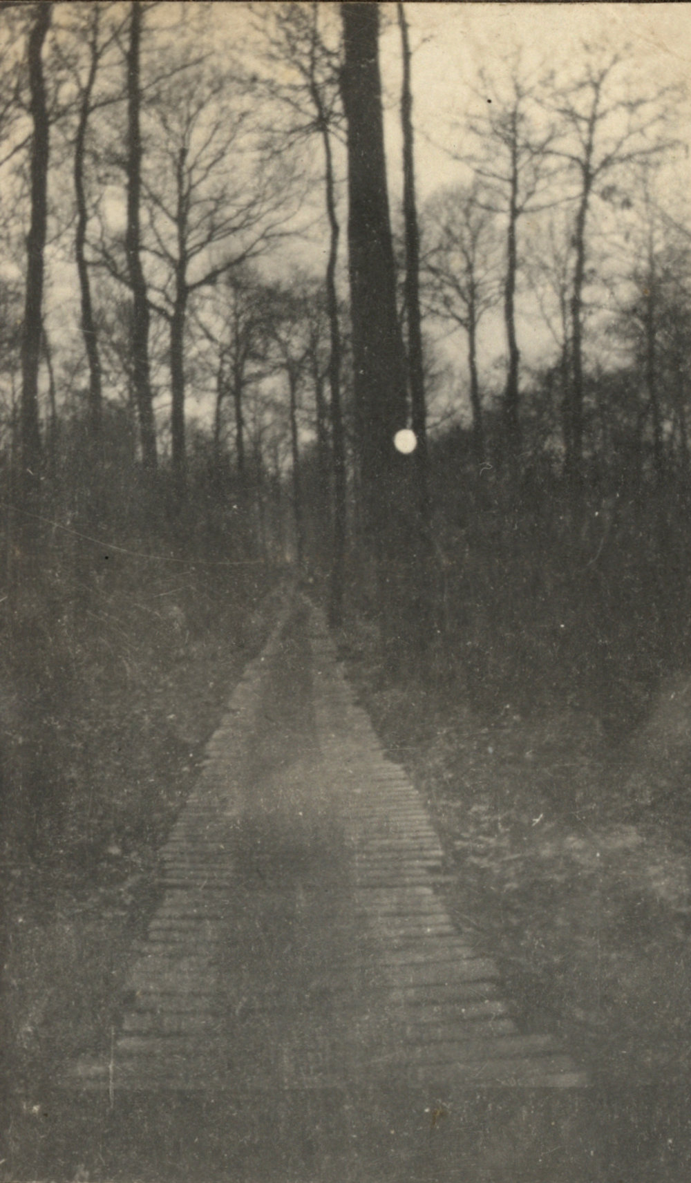 Photo from page 06 of album WW1 Photograph album of Charles Louis Armitage