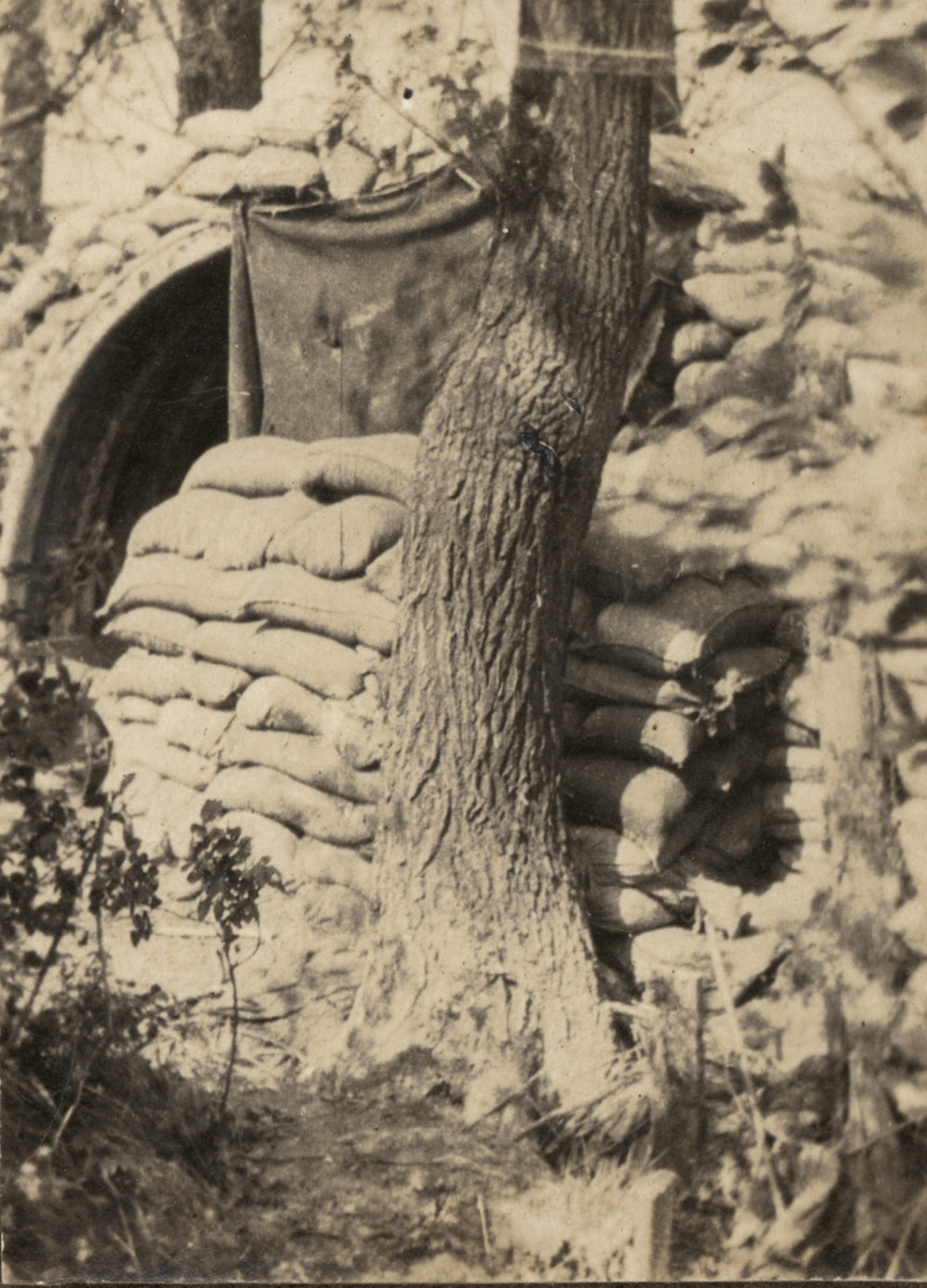 Photo from page 11 of album WW1 Photograph album of Charles Louis Armitage