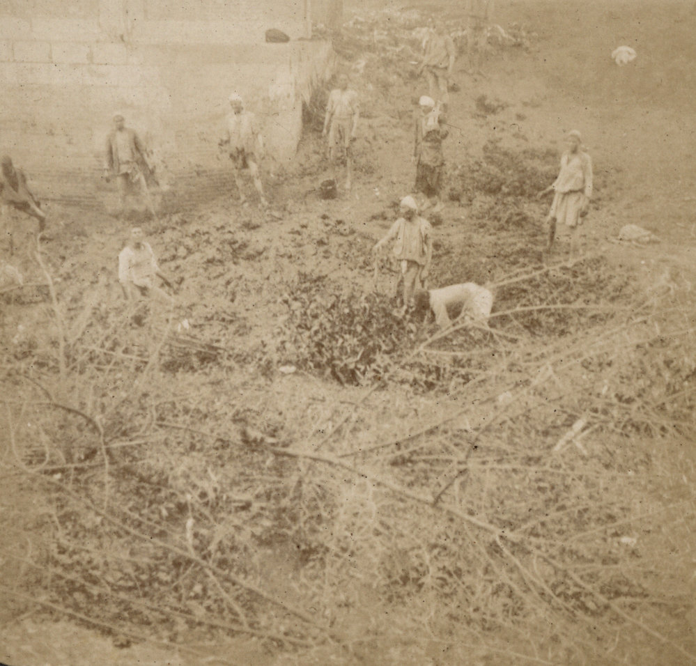 Photo from page 04 of album WW1 Photograph Album of Harry Jenkin