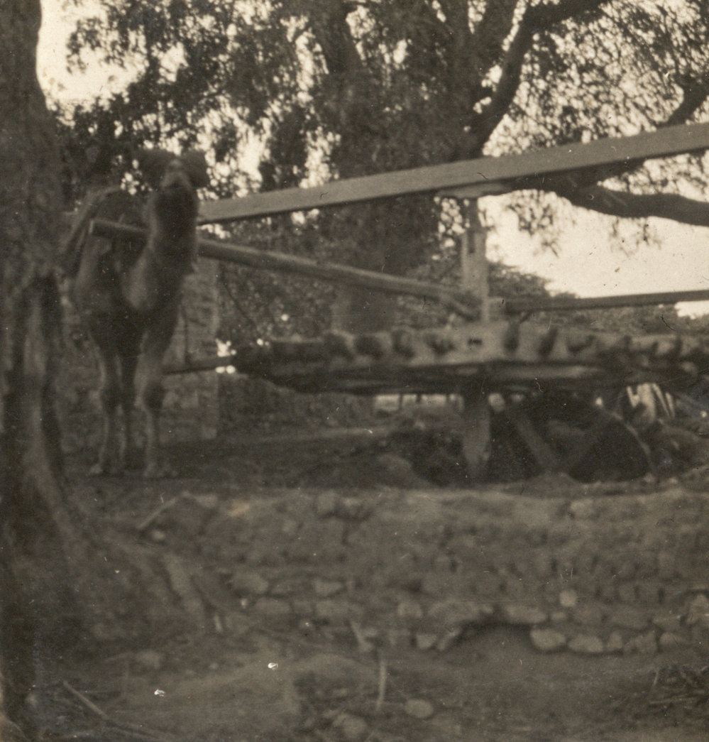 Photo from page 06 of album WW1 Photograph Album of Harry Jenkin