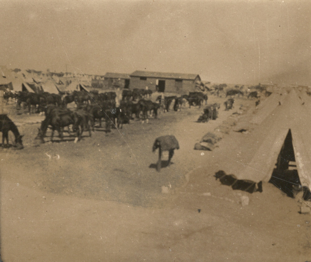 Photo from page 08 of album WW1 Photograph Album of Harry Jenkin