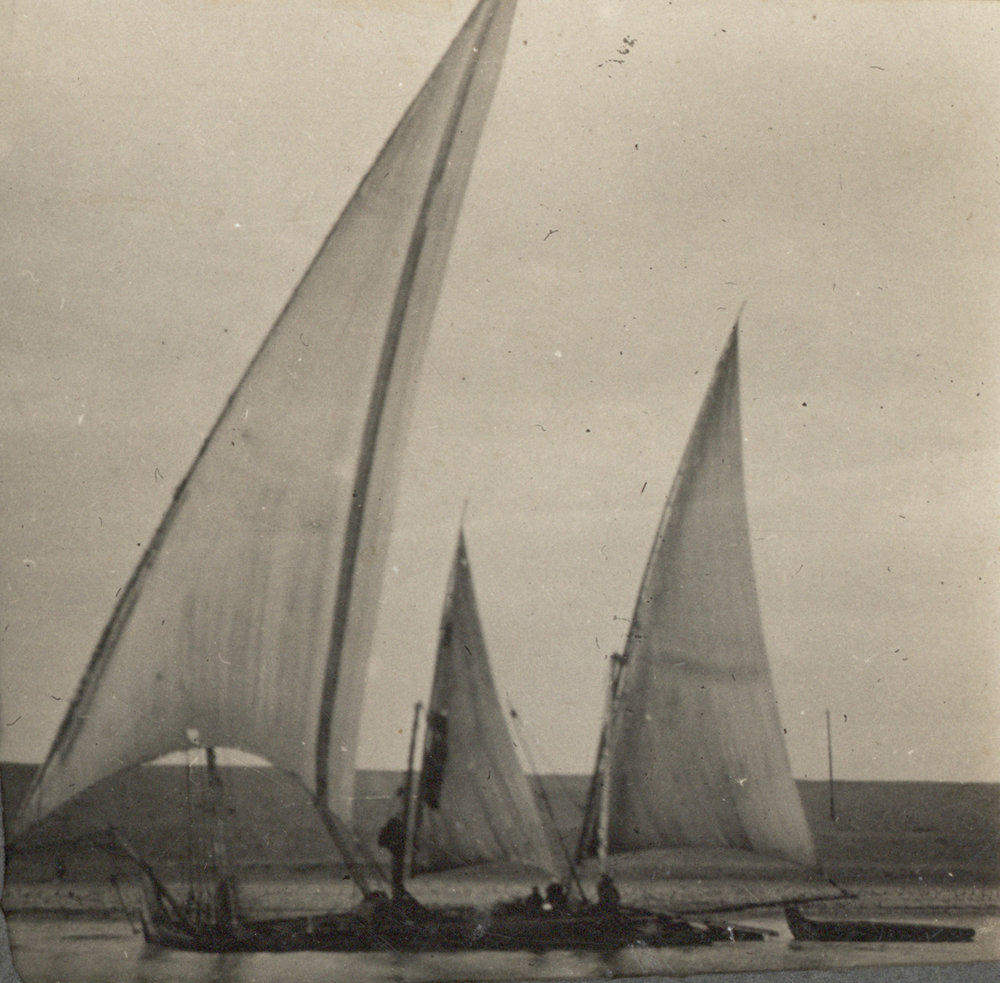 Photo from page 11 of album WW1 Photograph Album of Harry Jenkin