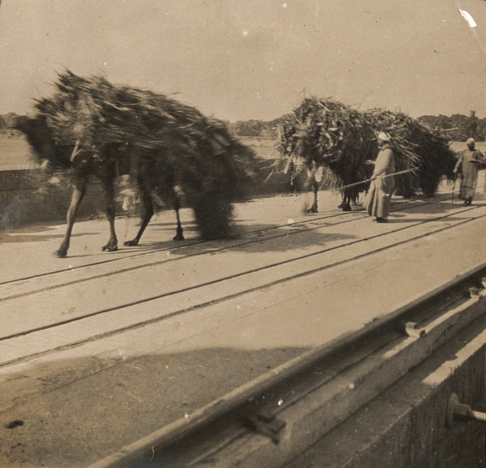 Photo from page 13 of album WW1 Photograph Album of Harry Jenkin