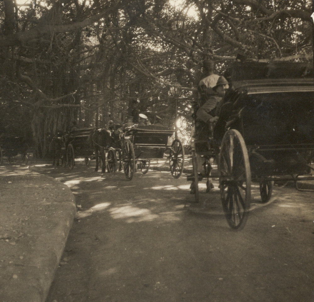 Photo from page 02 of album WW1 Photograph Album of Harry Jenkin