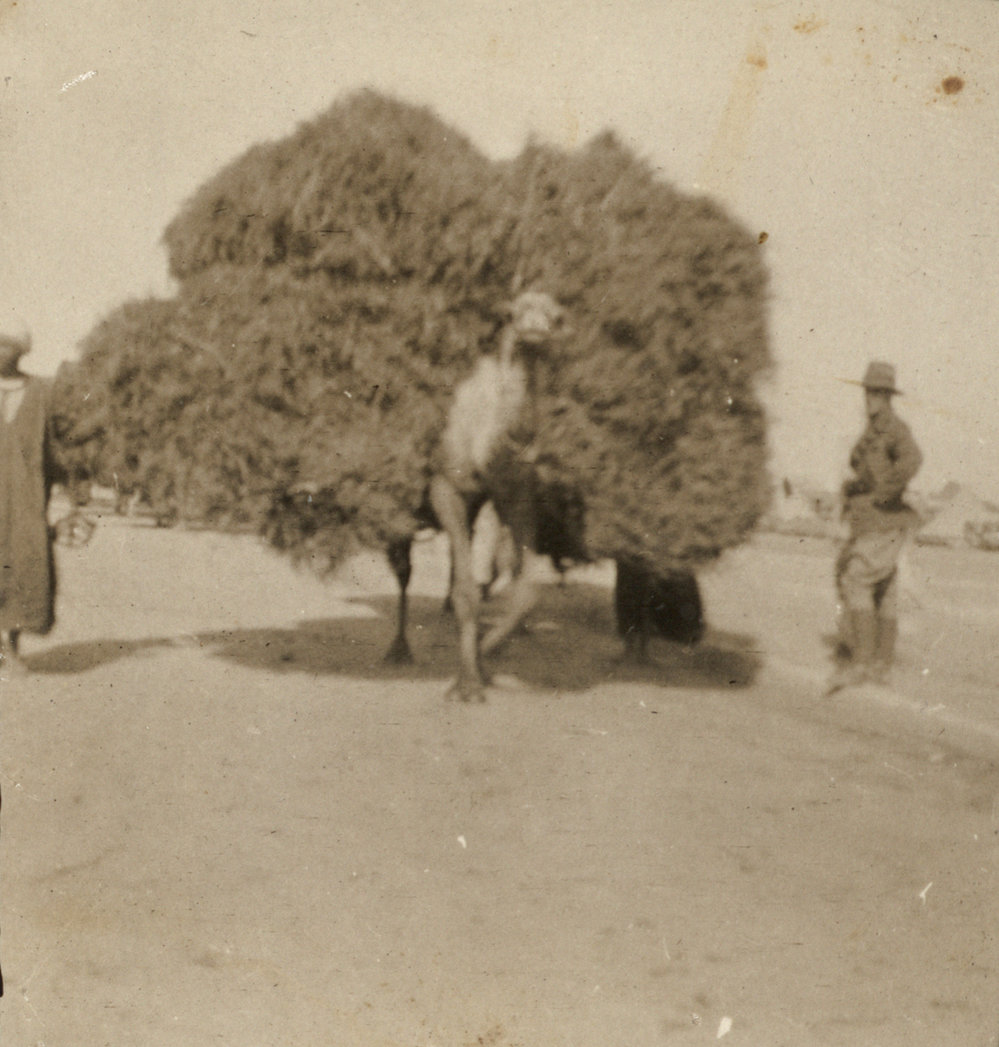 Photo from page 07 of album WW1 Photograph Album of Harry Jenkin