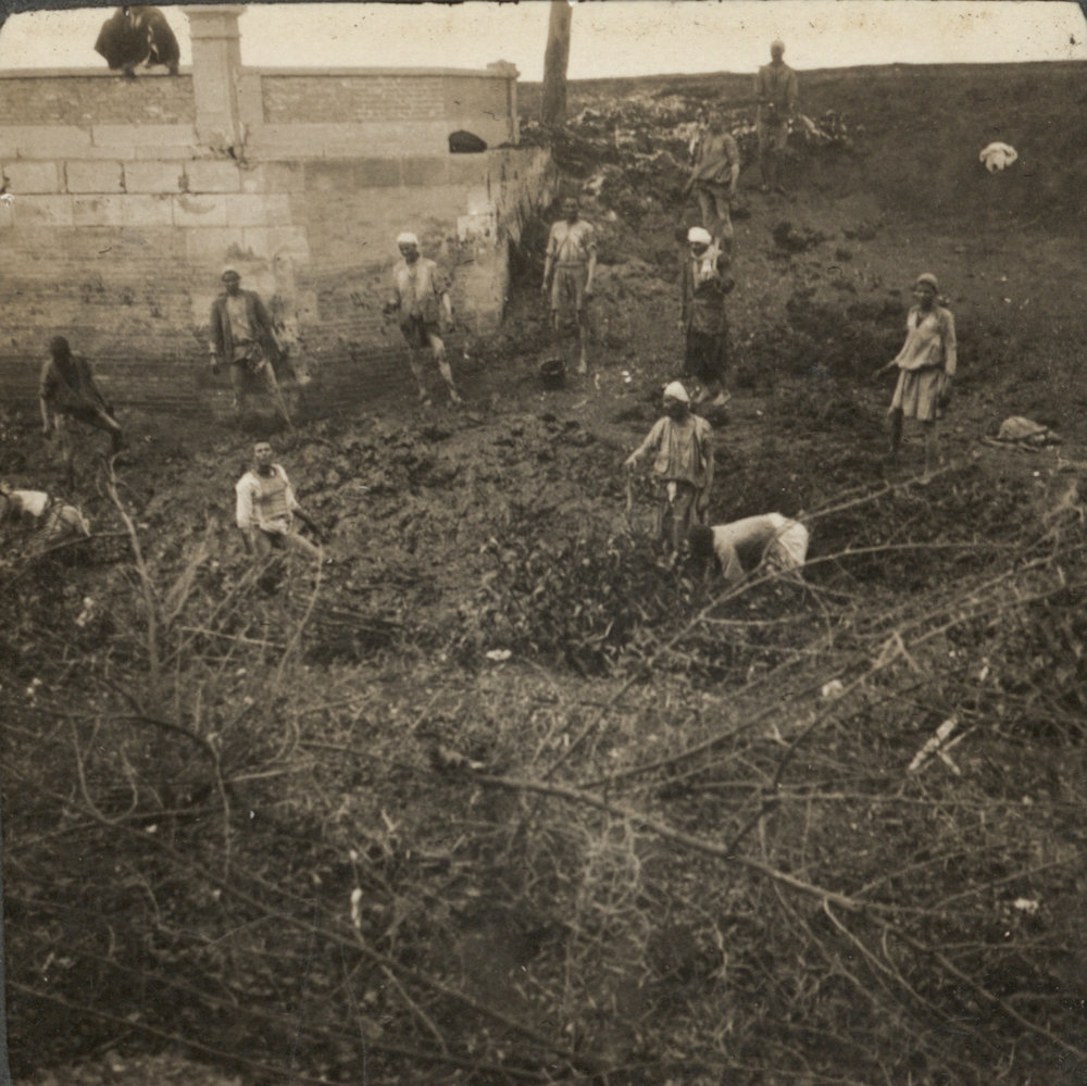 Photo from page 09 of album WW1 Photograph Album of Harry Jenkin