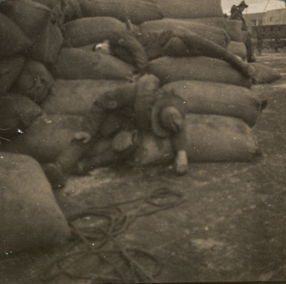 Photo from page 11 of album WW1 Photograph Album of Harry Jenkin