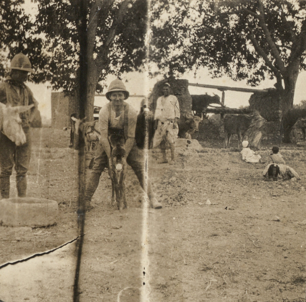 Photo from page 14 of album WW1 Photograph Album of Harry Jenkin