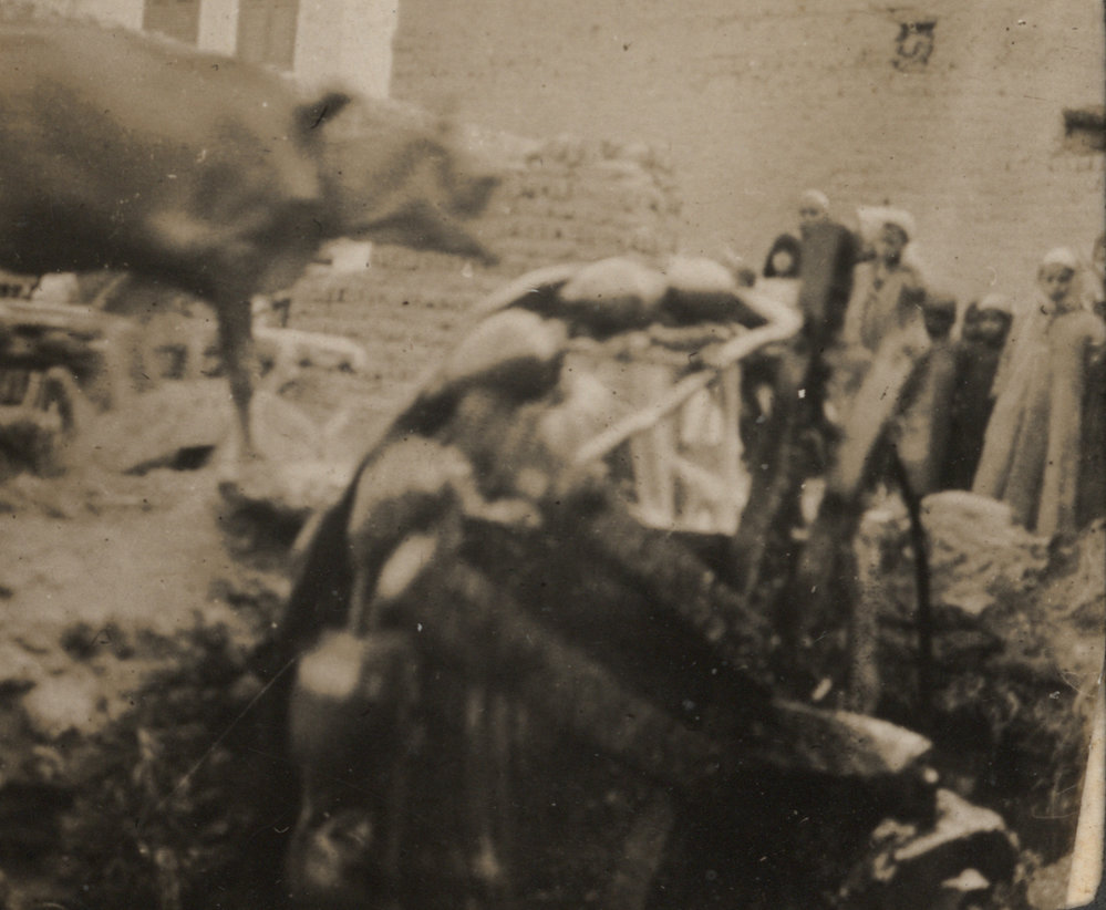 Photo from page 15 of album WW1 Photograph Album of Harry Jenkin