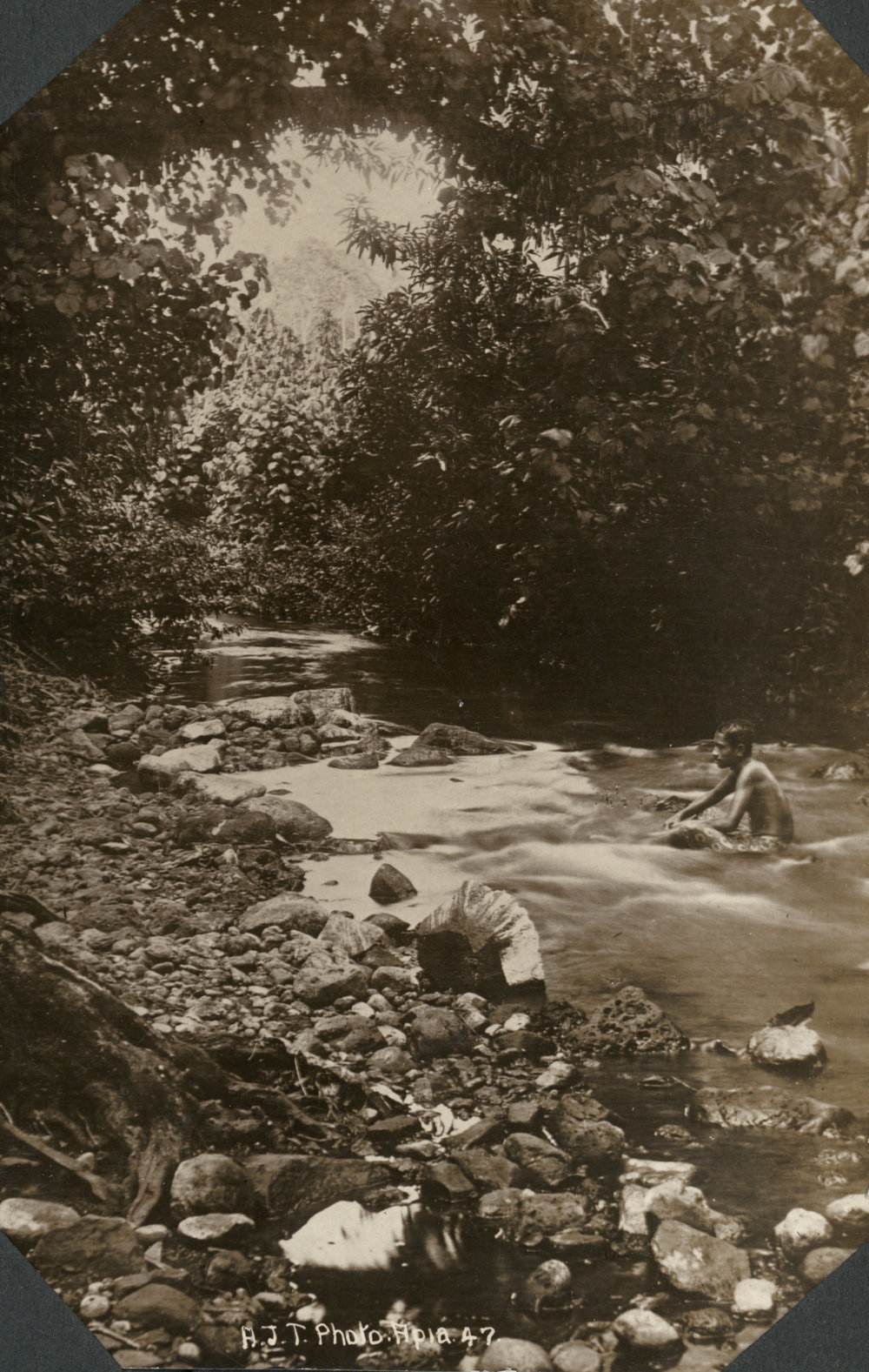 Photo from page 03 of album WWI Photograph Album - Occupation of Samoa