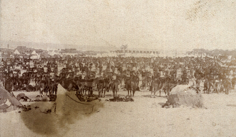 Photo from page 08 of album WWI Photograph Album - Egypt, Sinai and Palestine