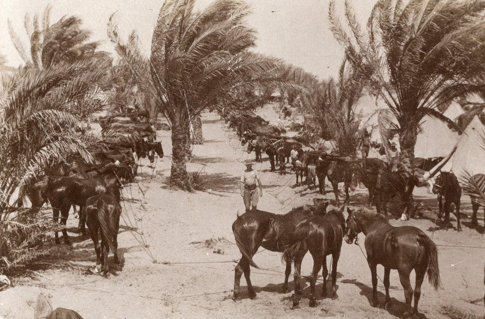 Photo from page 09 of album WWI Photograph Album - Egypt, Sinai and Palestine