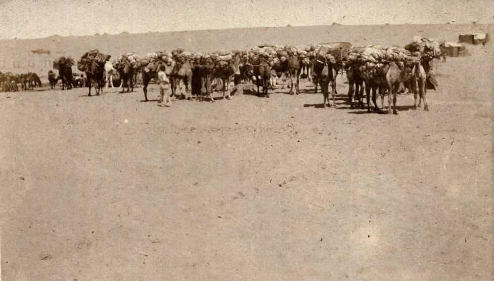 Photo from page 09 of album WWI Photograph Album - Egypt, Sinai and Palestine