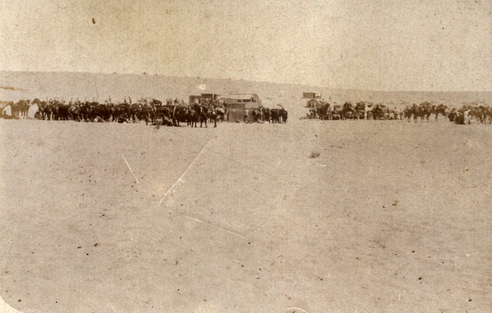 Photo from page 09 of album WWI Photograph Album - Egypt, Sinai and Palestine