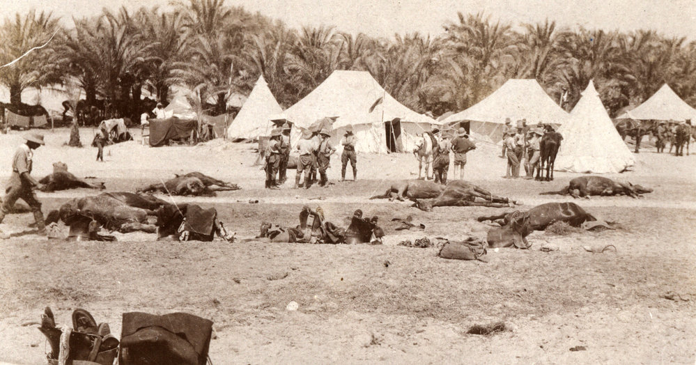 Photo from page 11 of album WWI Photograph Album - Egypt, Sinai and Palestine