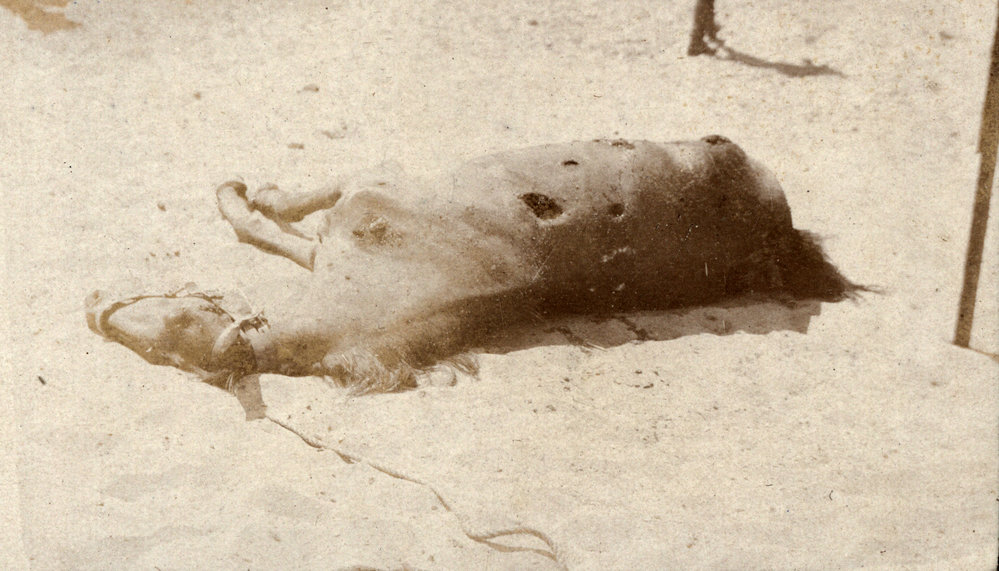 Photo from page 11 of album WWI Photograph Album - Egypt, Sinai and Palestine
