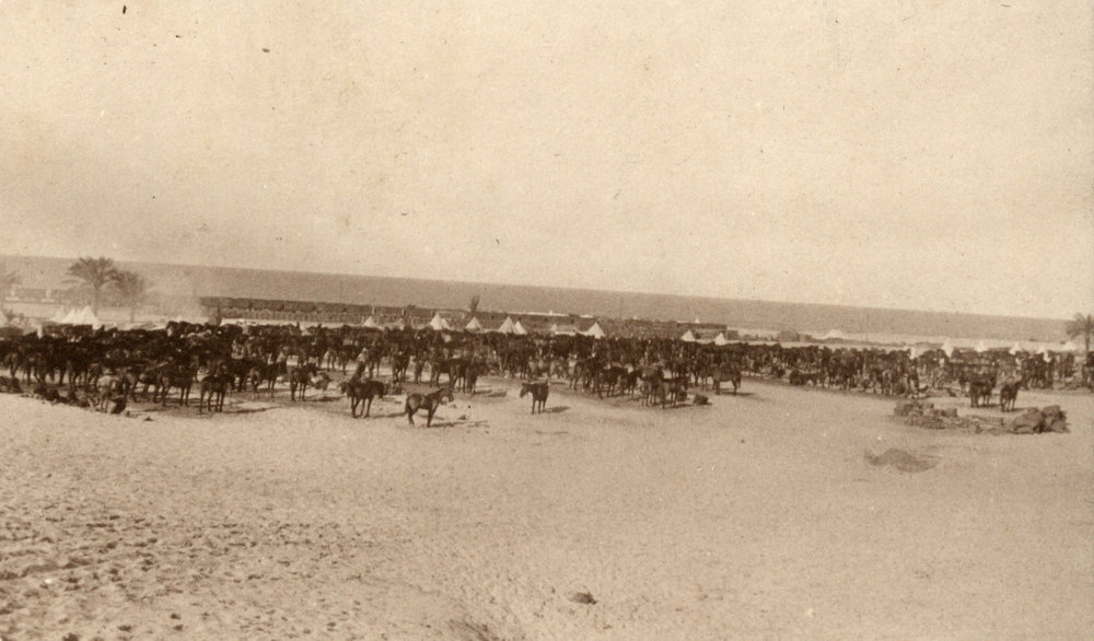 Photo from page 12 of album WWI Photograph Album - Egypt, Sinai and Palestine