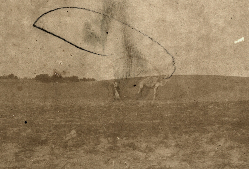 Photo from page 13 of album WWI Photograph Album - Egypt, Sinai and Palestine