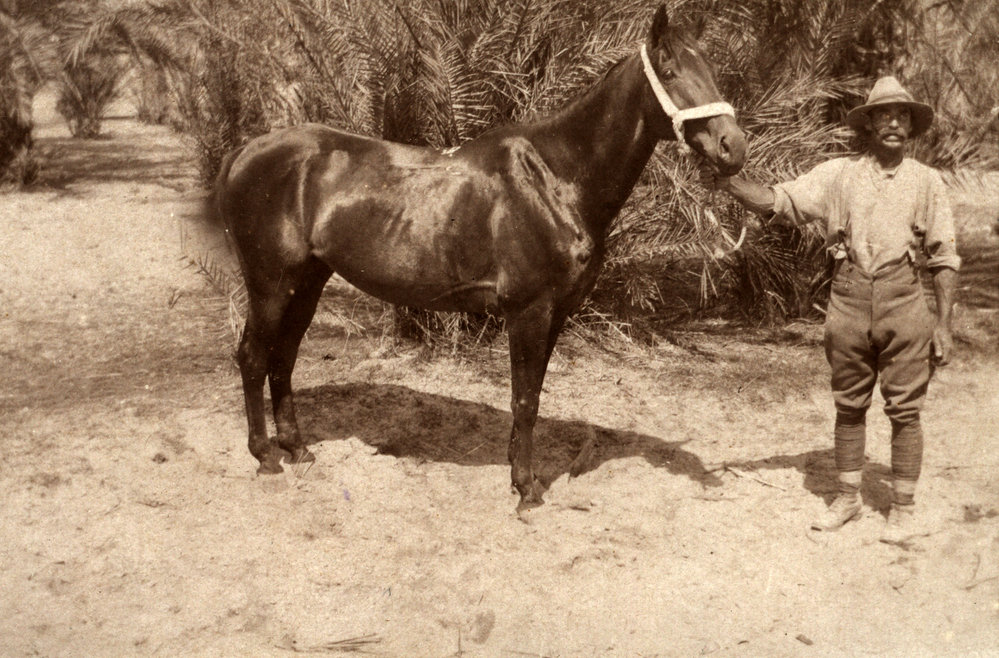 Photo from page 02 of album WWI Photograph Album - Egypt, Sinai and Palestine