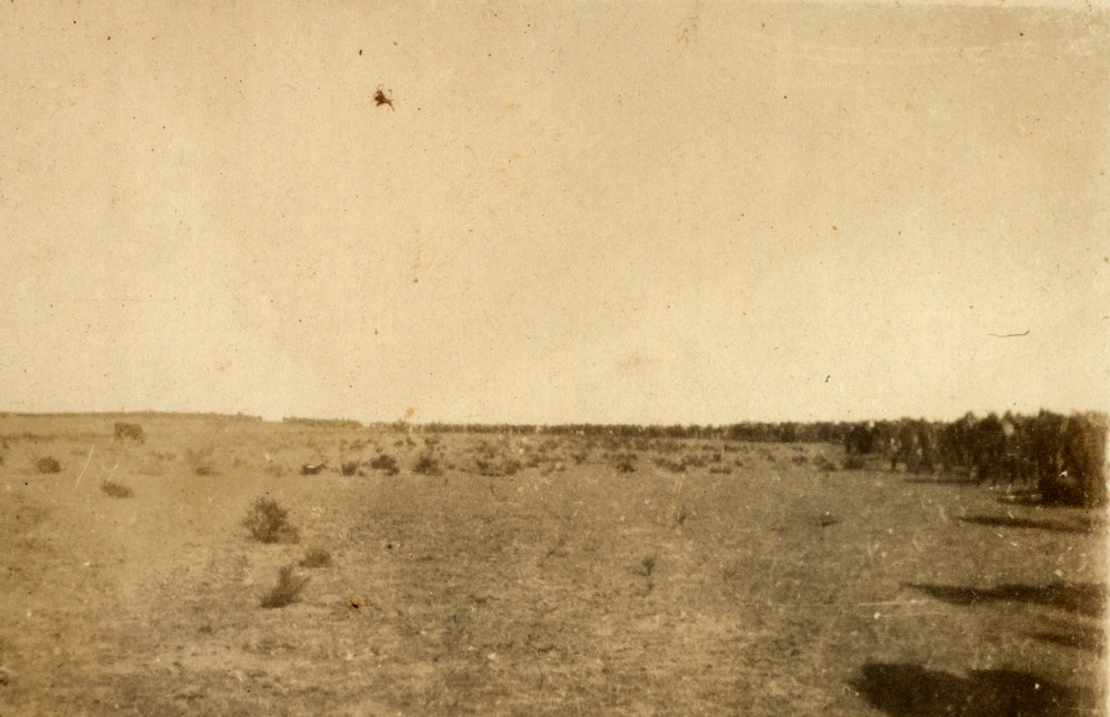 Photo from page 03 of album WWI Photograph Album - Egypt, Sinai and Palestine