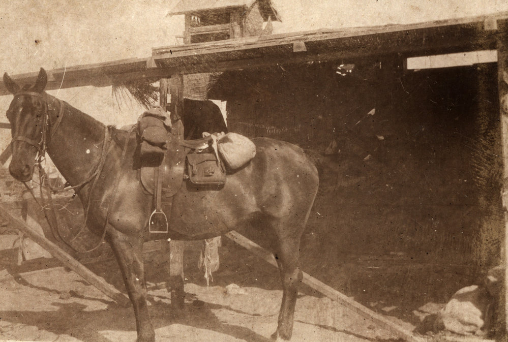 Photo from page 03 of album WWI Photograph Album - Egypt, Sinai and Palestine