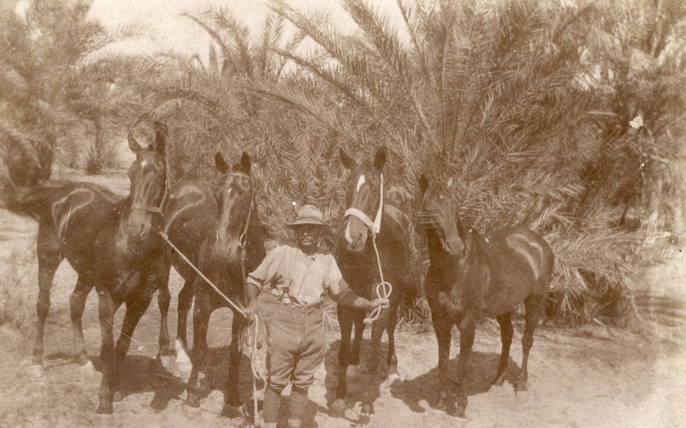 Photo from page 05 of album WWI Photograph Album - Egypt, Sinai and Palestine