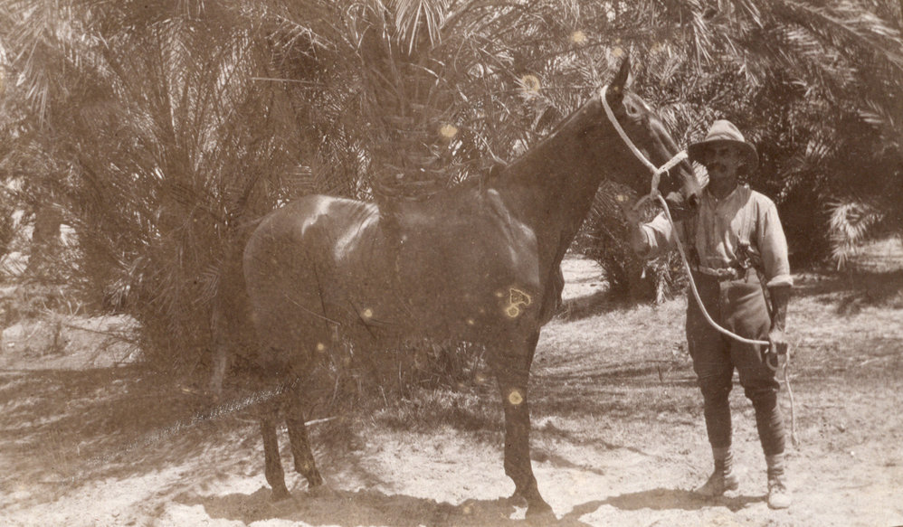 Photo from page 06 of album WWI Photograph Album - Egypt, Sinai and Palestine