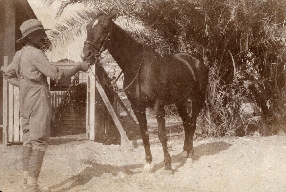 Photo from page 07 of album WWI Photograph Album - Egypt, Sinai and Palestine