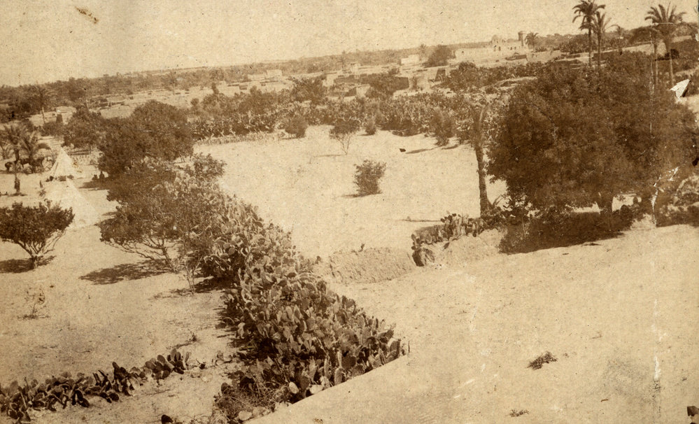 Photo from page 04 of album WWI Photograph Album - Egypt