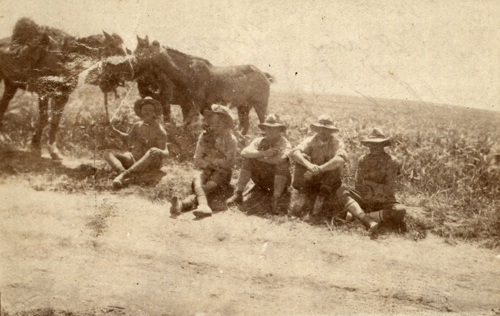 Photo from page 04 of album WWI Photograph Album - Egypt