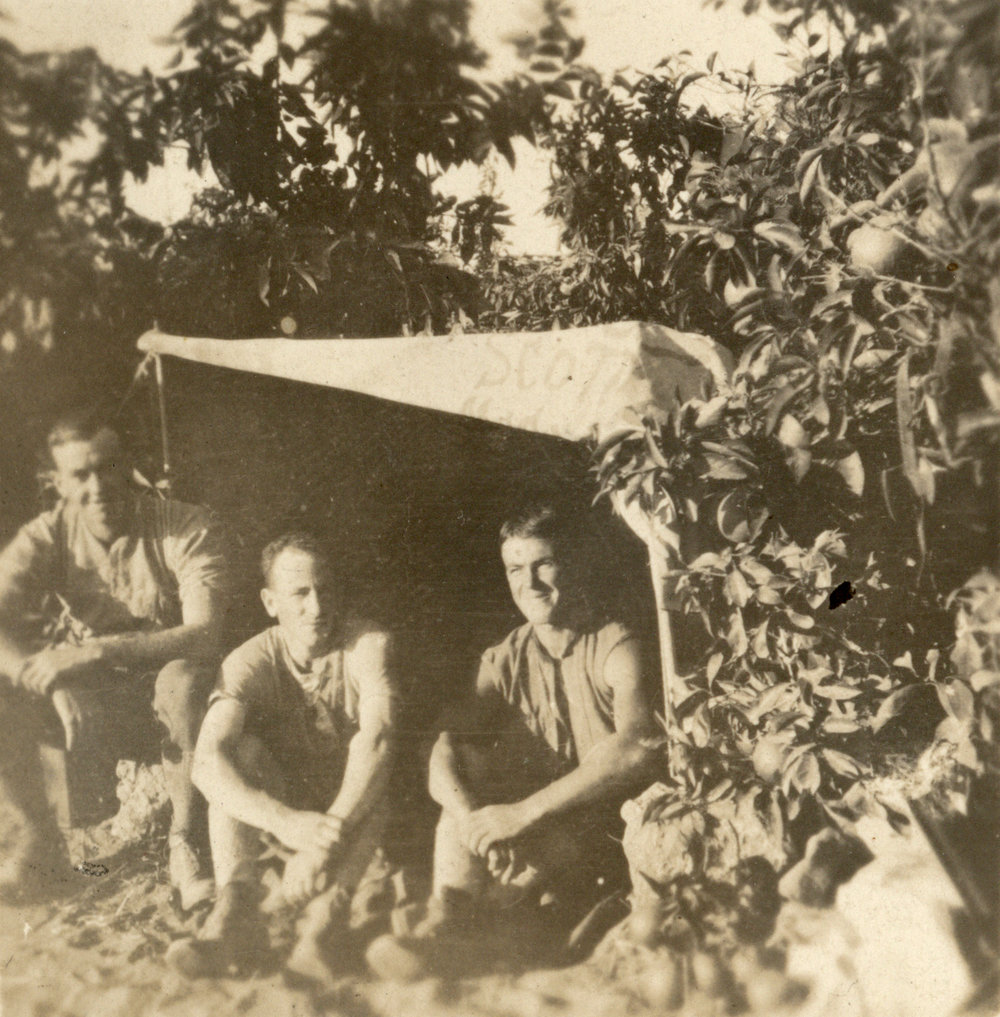 Photo from page 05 of album WWI Photograph Album - Egypt