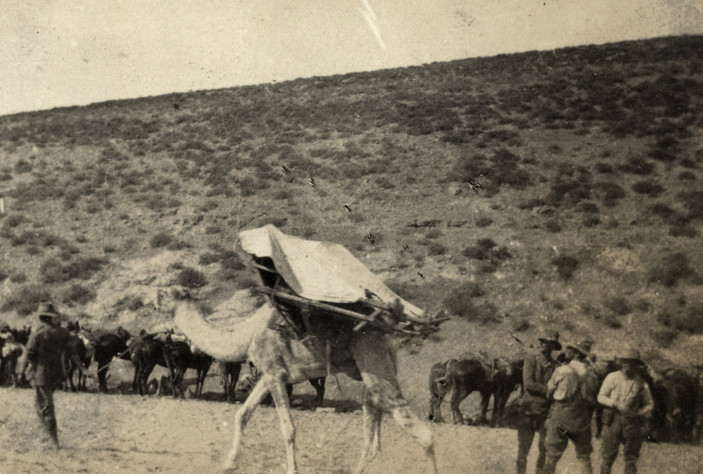 Photo from page 22 of album WWI Photograph Album - Egypt