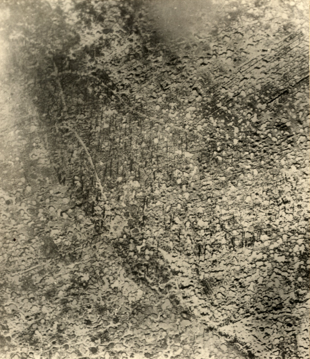 Photo from page 06 of album WWI Photograph Album - Western Front.