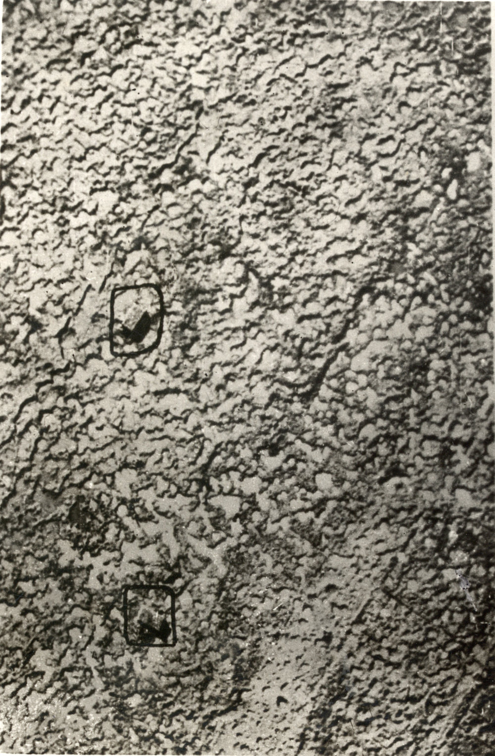 Photo from page 09 of album WWI Photograph Album - Western Front.