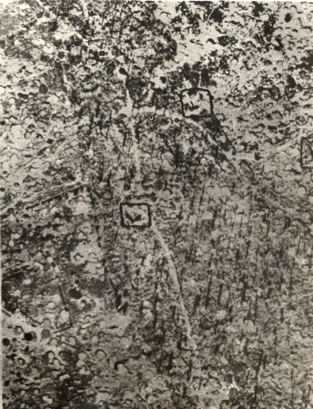 Photo from page 09 of album WWI Photograph Album - Western Front.