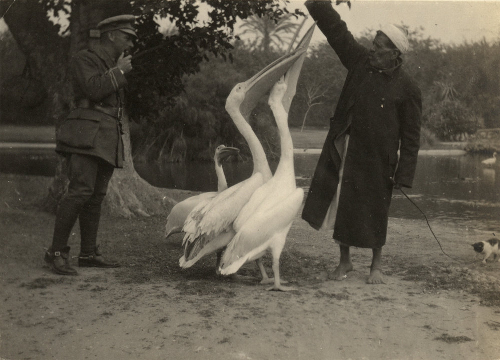 Photo from page 17 of album WWI Photograph Album - Egypt.