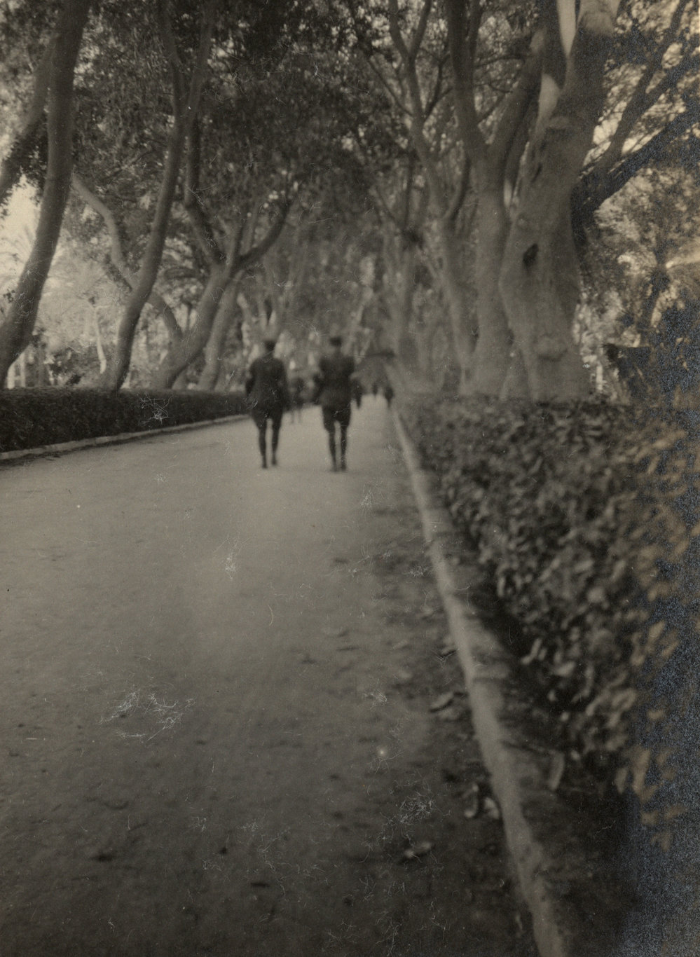 Photo from page 21 of album WWI Photograph Album - Egypt.