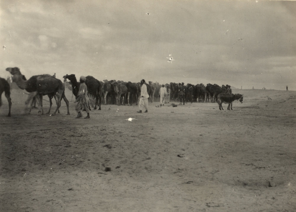 Photo from page 23 of album WWI Photograph Album - Egypt.