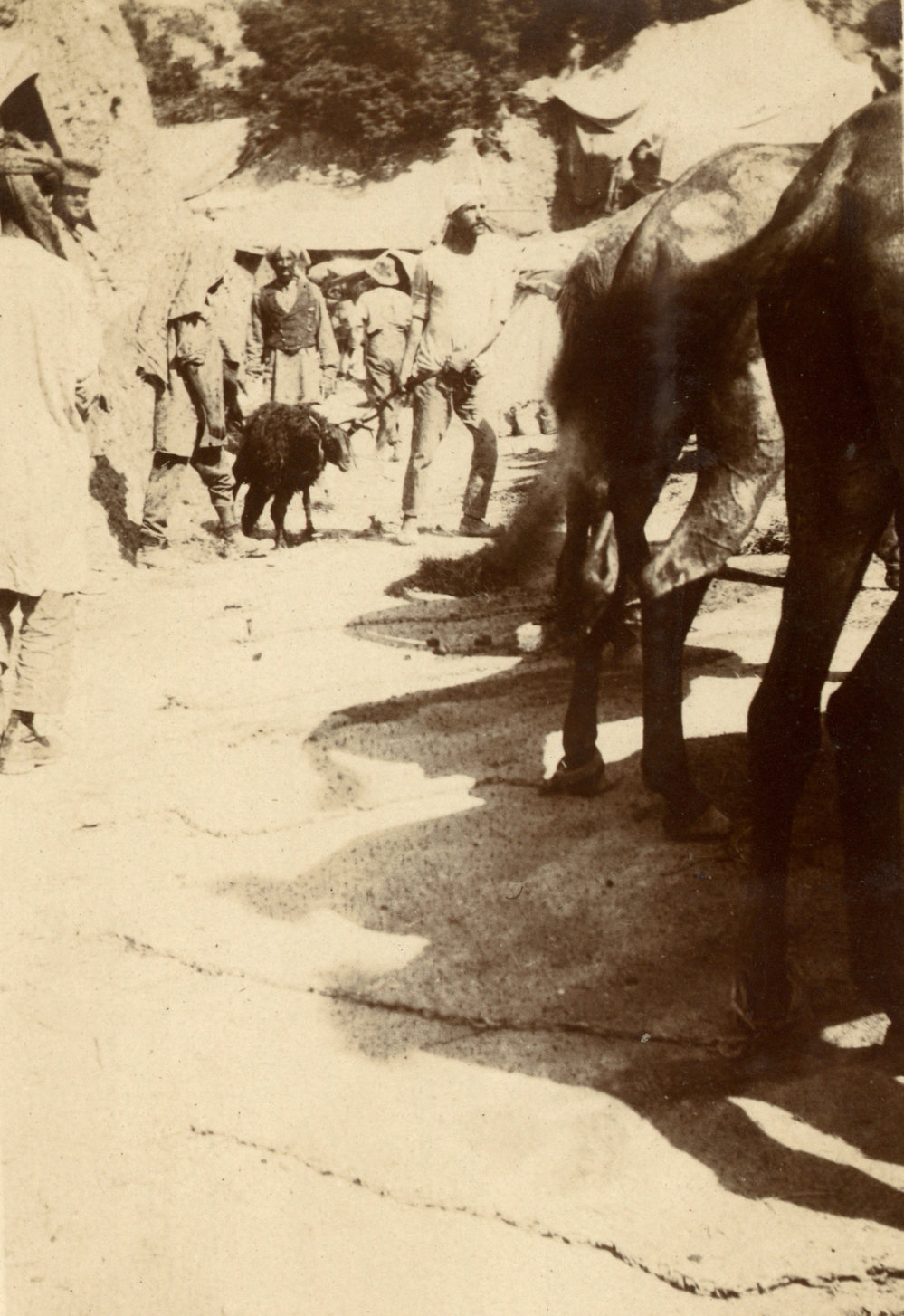 Photo from page 10 of album WWI Photograph Album - Egypt and Gallipoli