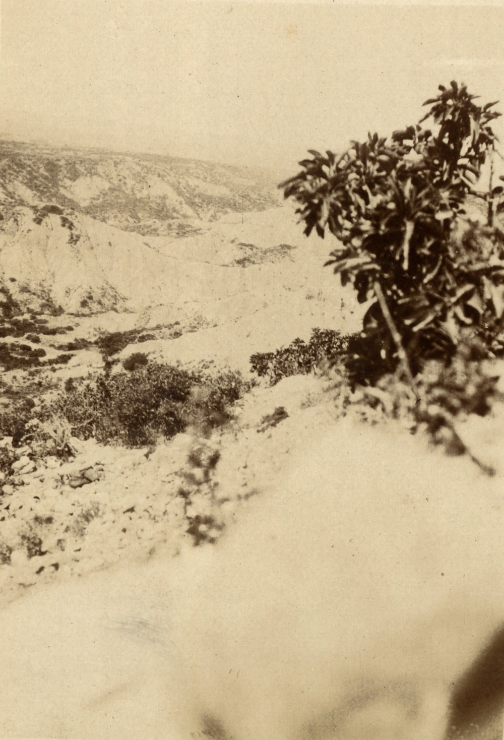 Photo from page 10 of album WWI Photograph Album - Egypt and Gallipoli