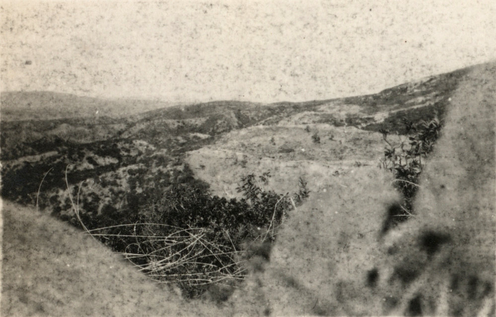 Photo from page 11 of album WWI Photograph Album - Egypt and Gallipoli