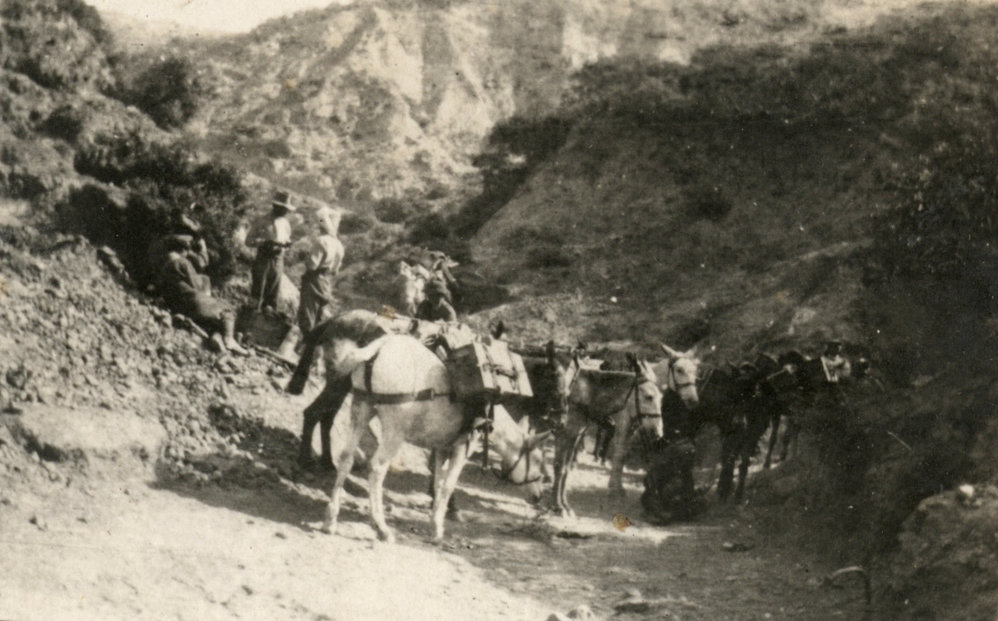 Photo from page 11 of album WWI Photograph Album - Egypt and Gallipoli