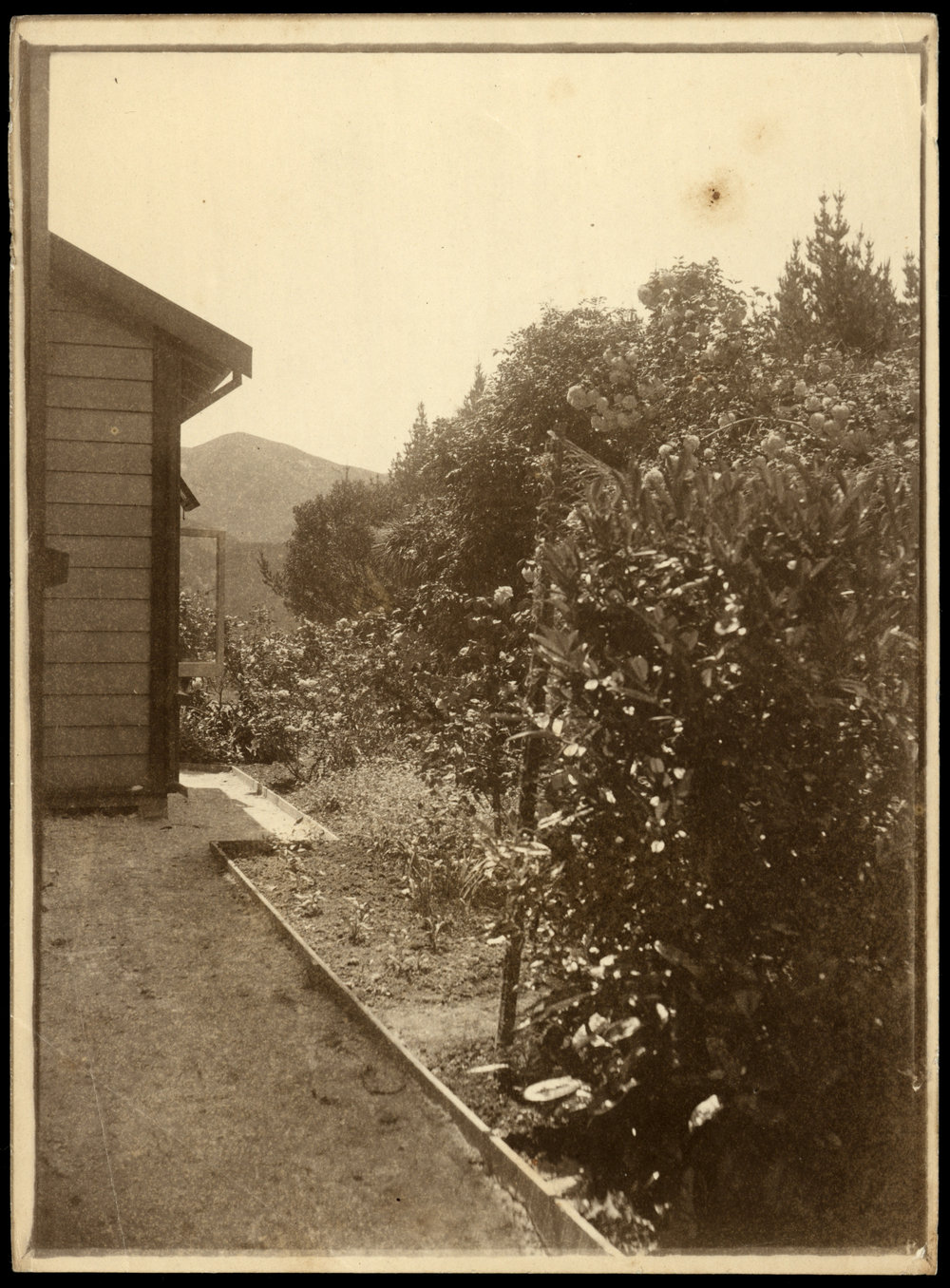 WWI Photograph Album - Western Front. [loose photo]