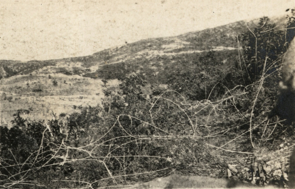 Photo from page 11 of album WWI Photograph Album - Egypt and Gallipoli