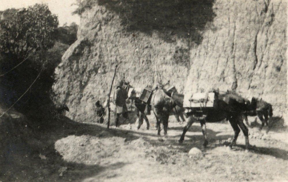 Photo from page 11 of album WWI Photograph Album - Egypt and Gallipoli