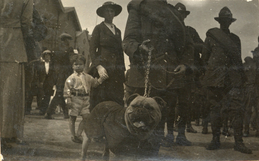 Photo from page 13 of album WWI Photograph Album - Egypt and Gallipoli