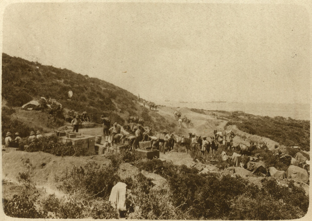 Photo from page 13 of album WWI Photograph Album - Egypt and Gallipoli